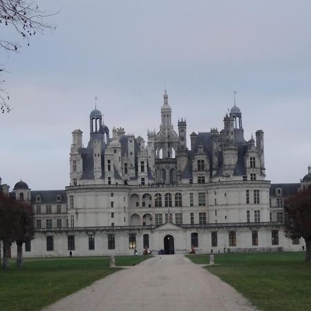 Gîte Le Cerf Solognot Neung-sur-Beuvron Extérieur photo