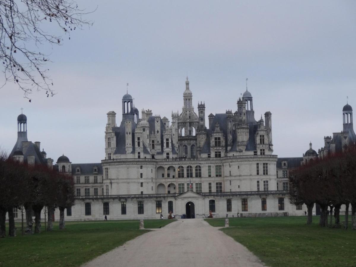 Gîte Le Cerf Solognot Neung-sur-Beuvron Extérieur photo